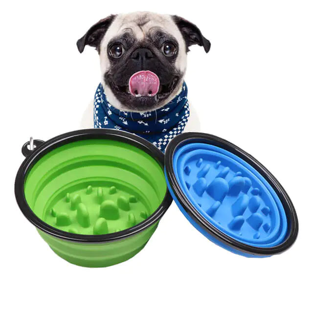 Portable Anti-Gulp Slow Feeder Dog Bowl - Ideal for Fast Eaters